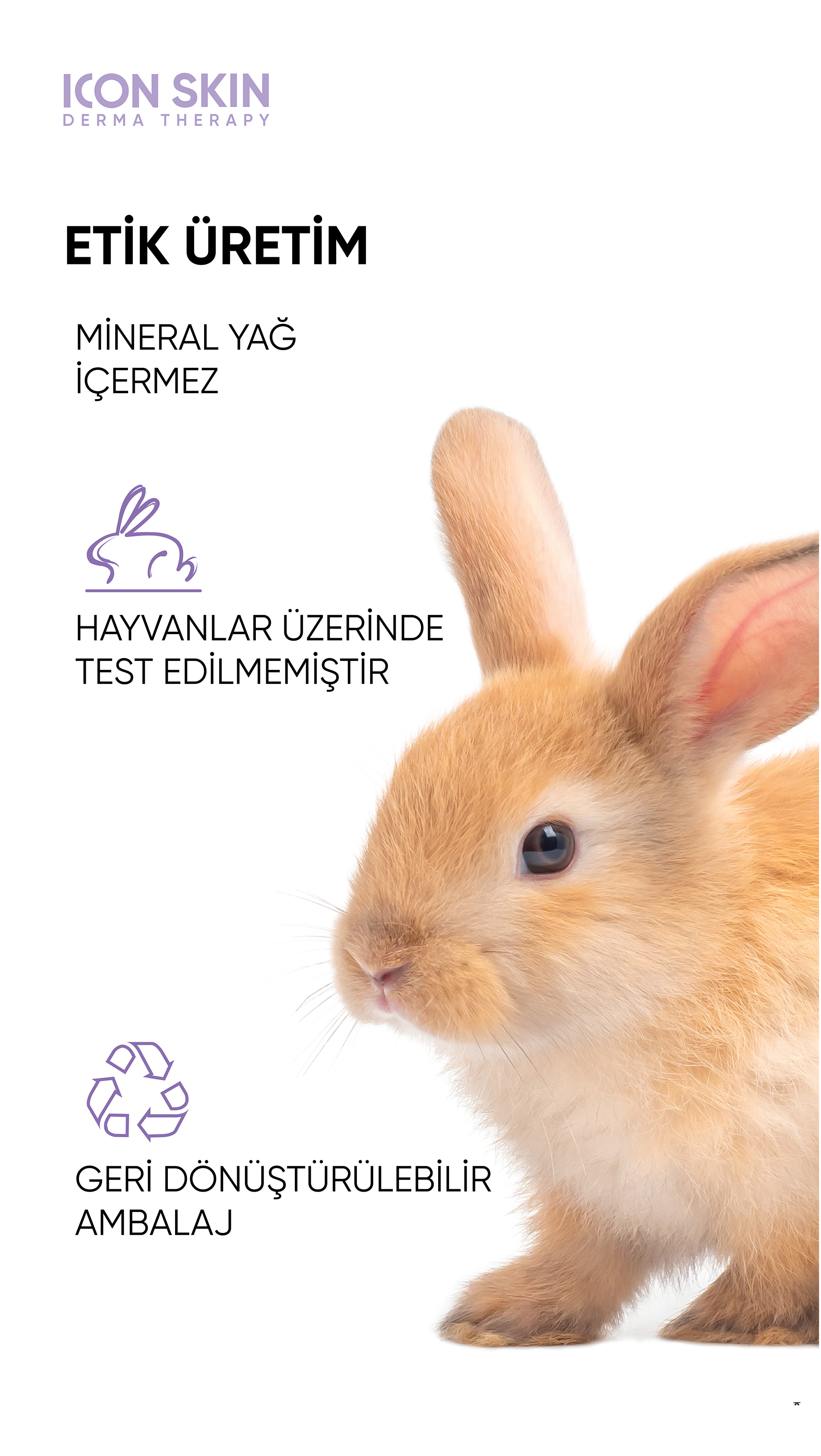 Delicate Purity Arındırıcı Makyaj Temizleyici Misel Su