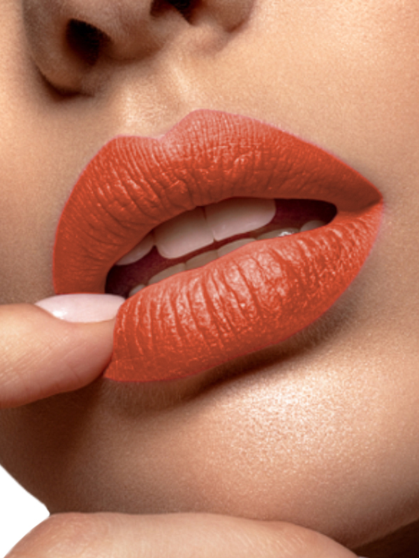 GL Beauty Natural Matte Lipstick No 11
