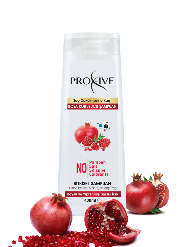 Proxive  Boya Koruyucu Şampuan 400 ml